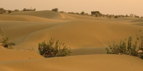 deserto2