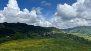 L’odore dell’amore